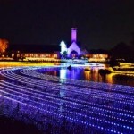 なばなの里チューリップ2018はいつまで見頃?開花状況とライトアップ期間