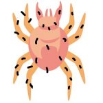 マダニに刺されたら?症状や潜伏期間と痛みの応急処置・塗る薬は
