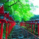 貴船神社紅葉2016の見頃とアクセス方法は?ライトアップ情報も