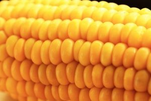とうもろこし