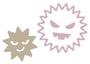 カビのイメージ