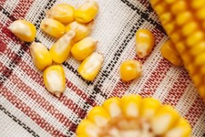 とうもろこし