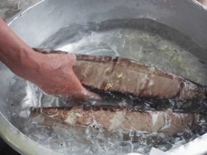 かつおのたたき