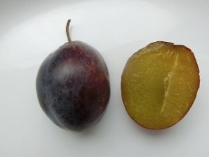 プルーン