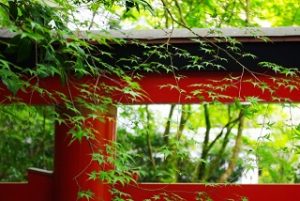 鳥居